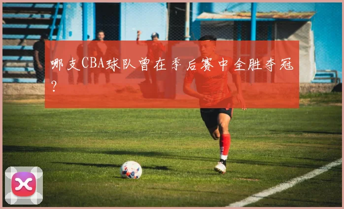 哪支CBA球队曾在季后赛中全胜夺冠？