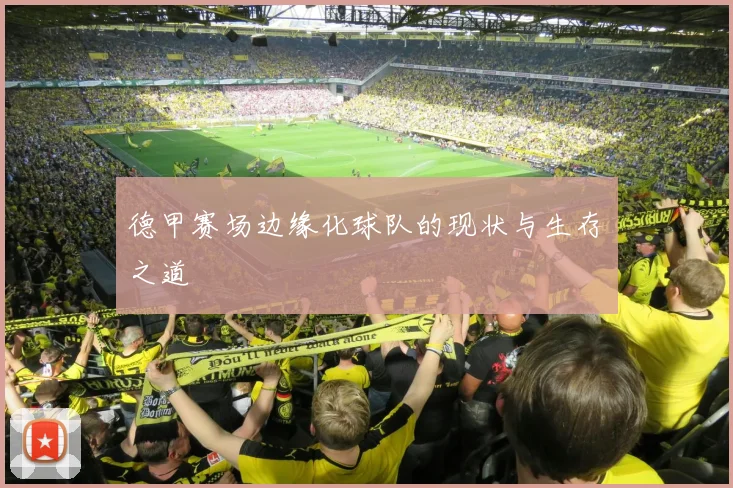 德甲赛场边缘化球队的现状与生存之道